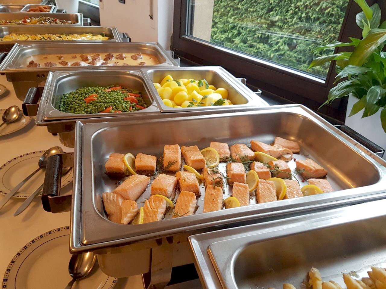 spargelbuffet-05 Ein Buffet mit Lachsfilets, Gemüse und Zitronenscheiben in einem Warmhaltebehälter.
